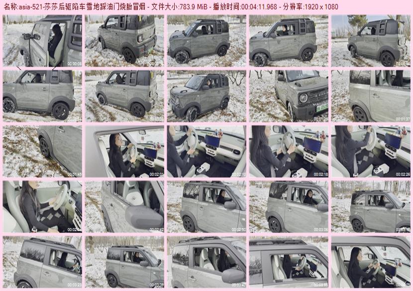 asia-521